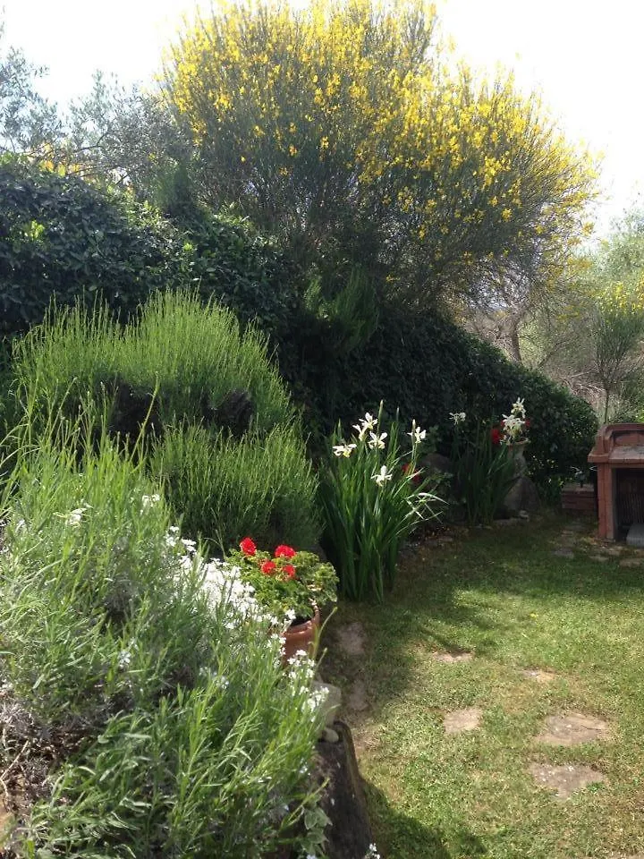 Casa Viola Pool, Wifi, Montaione Villa 0*,